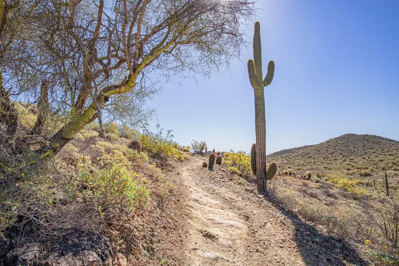 Kid-friendly bike trails Sidewinder Trail