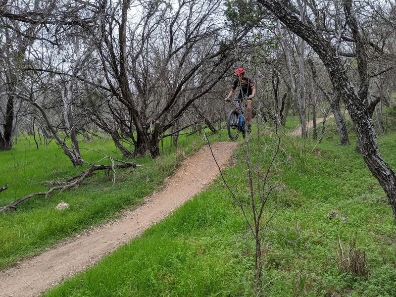 kid-friendly hiking trails Fox Park