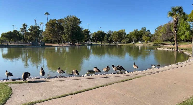 playgrounds Roadrunner Park