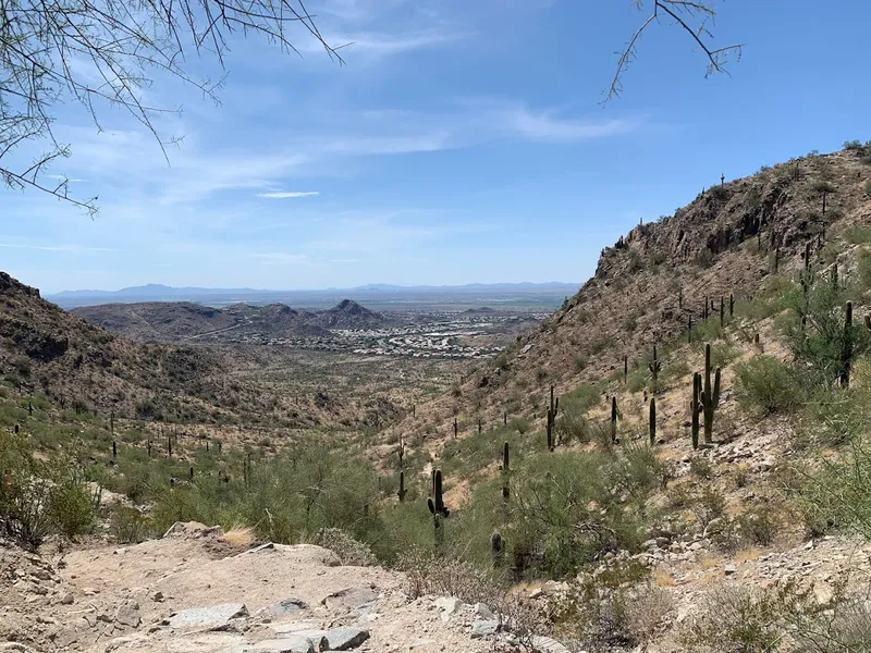 kid-friendly hiking trails Desert Foothills Trailhead