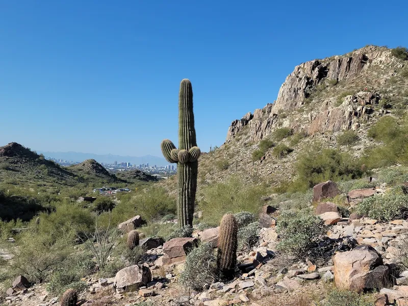 kid-friendly hiking trails Piestewa Peak Trailhead