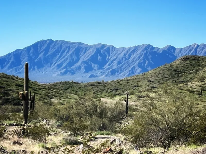 kid-friendly hiking trails Bursera Trailhead