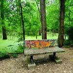 Best of 22 kid-friendly hiking trails in Dallas