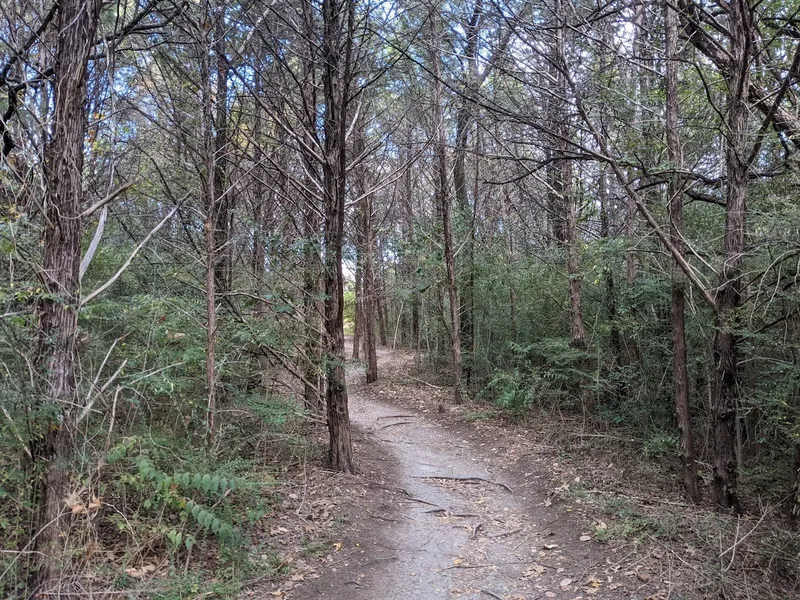 kid-friendly hiking trails Oak Cliff Nature Preserve