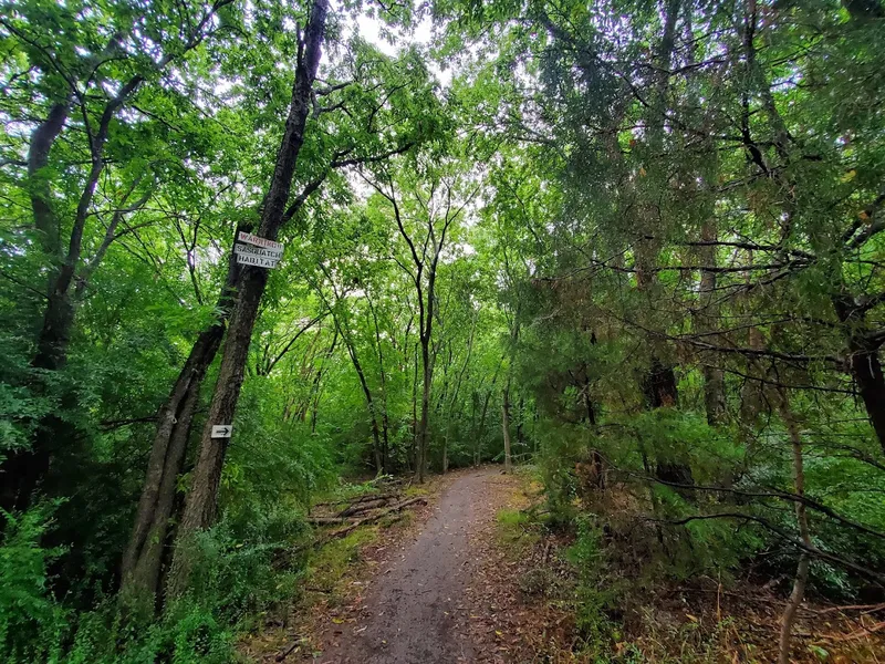 kid-friendly hiking trails Katie Jackson Park