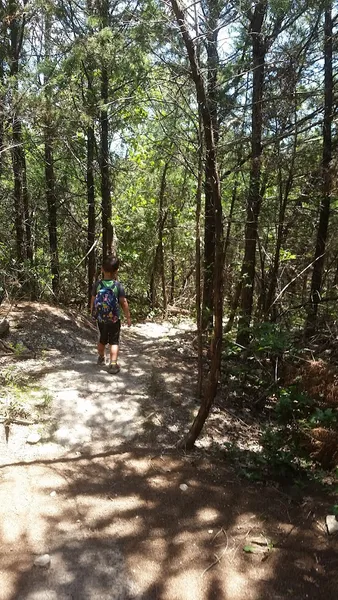 kid-friendly hiking trails Big Cedar Wilderness Trail