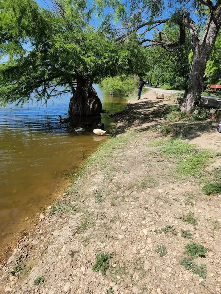 places to go kayaking Miller's Pond Park