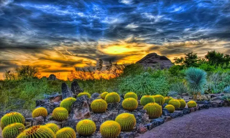 Places for sunsets Desert Botanical Garden