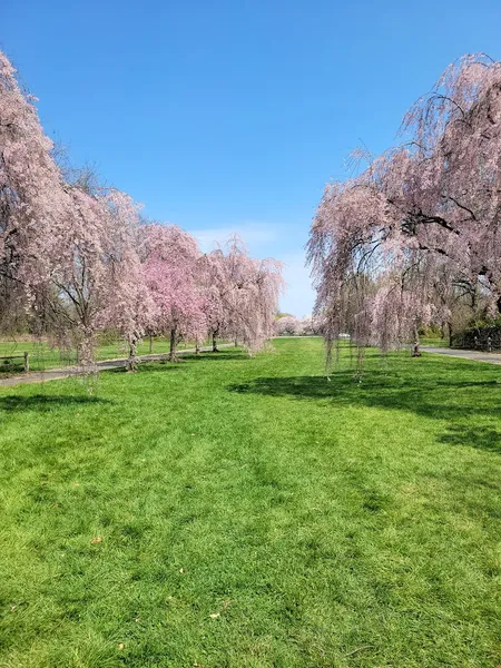 Places for sunsets Belmont Plateau