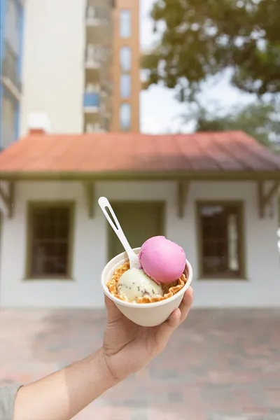 ice cream shops Lick Honest Ice Creams