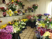 Top 14 florist in Camelback East Village Phoenix