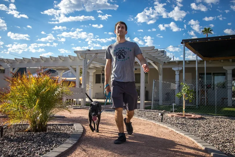 dog training classes Balancing Paws Dog Training