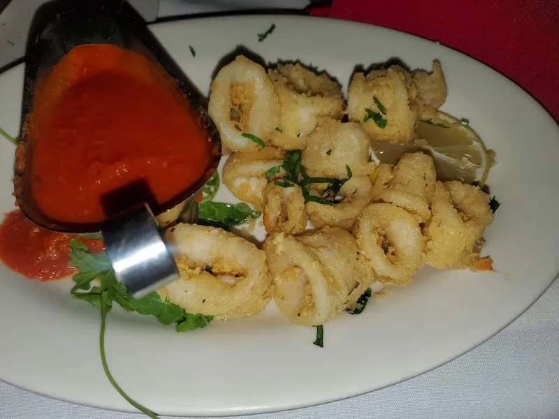 Calamari La Fontana Della Citta