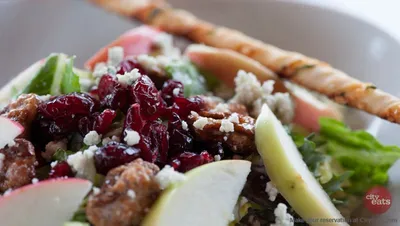 Top 19 chef salad in Roxborough Philadelphia