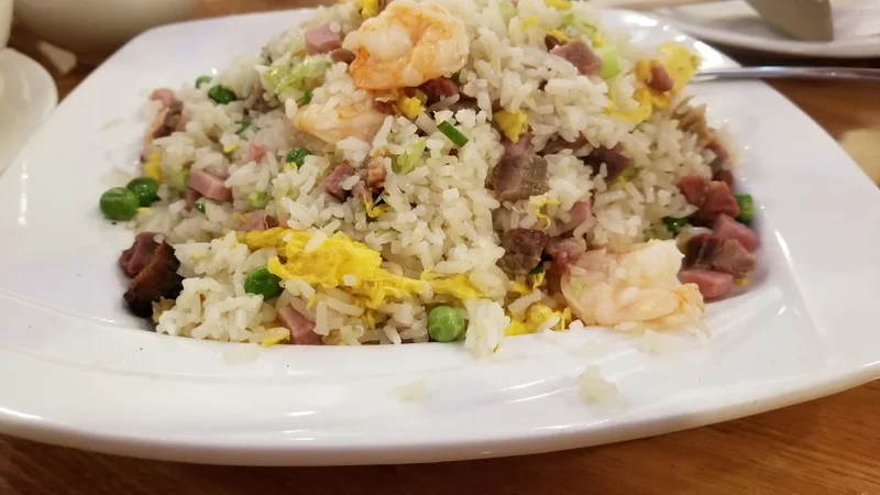 Best of 14 fried rice in Chinatown Philadelphia