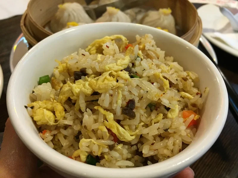 Best of 14 fried rice in Chinatown Philadelphia
