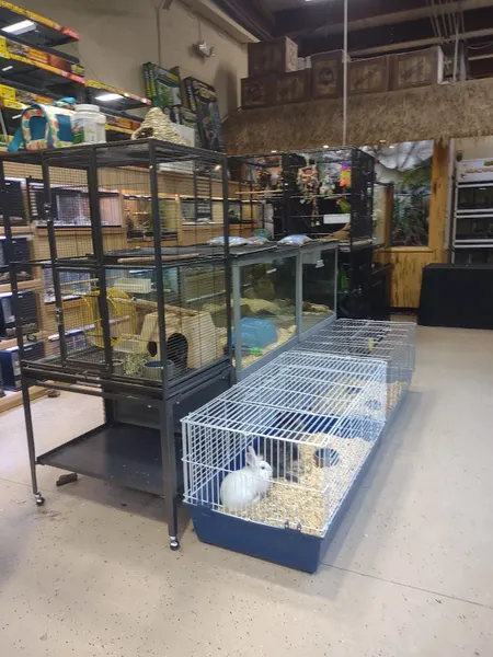 pet stores Xtreme Exotics