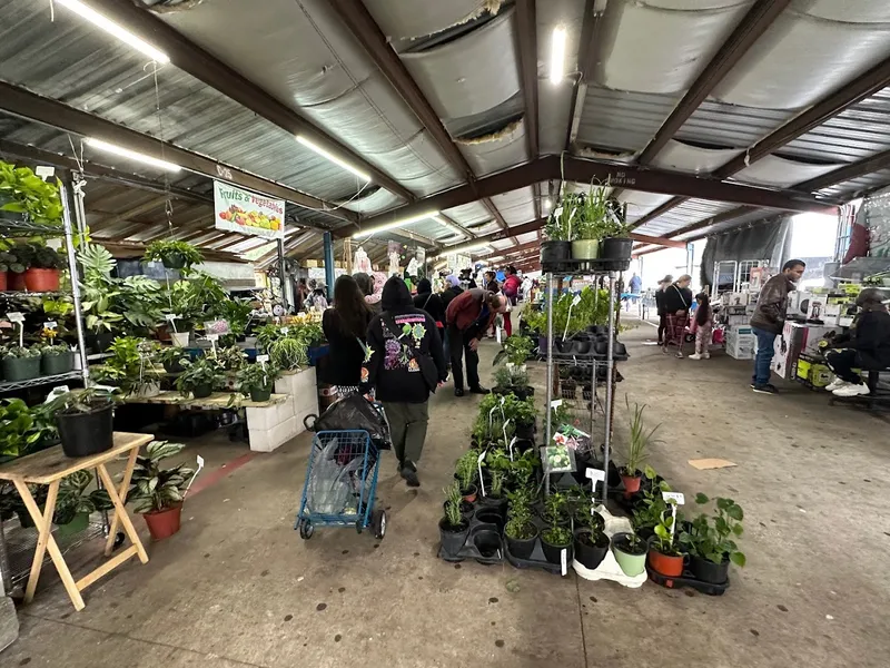 farmers’ markets Beach Boulevard Flea Market