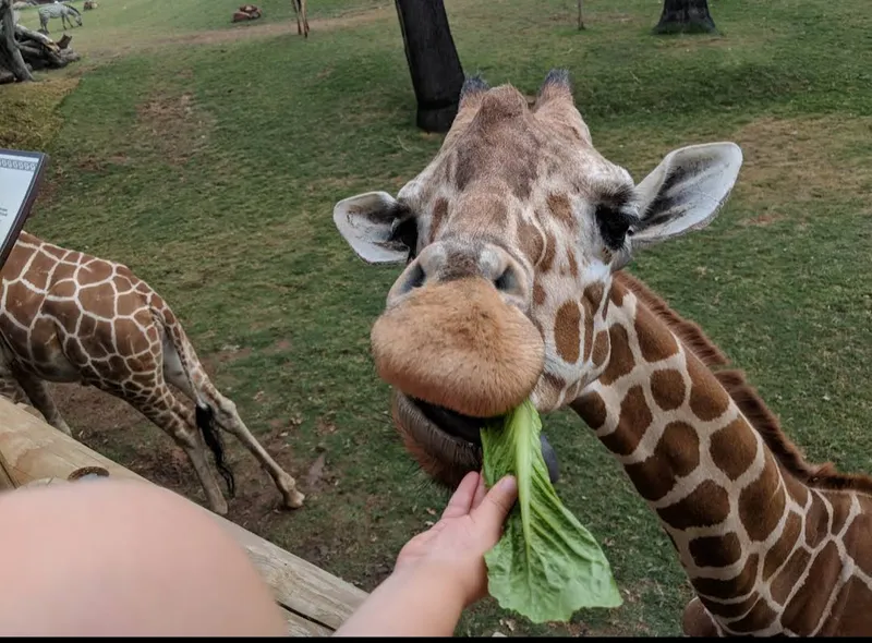 zoos Fort Worth Zoo