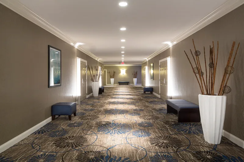 pet friendly hotels DoubleTree by Hilton Hotel Jacksonville Riverfront