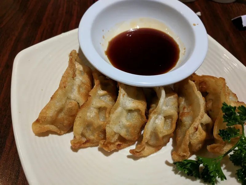 Dumplings restaurants Hanabi Ramen Fort Worth