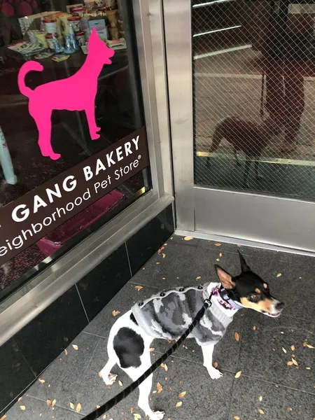 dog groomers Woof Gang Bakery & Grooming Avondale