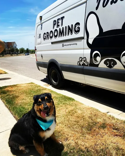 dog groomers Tobys Pet Grooming