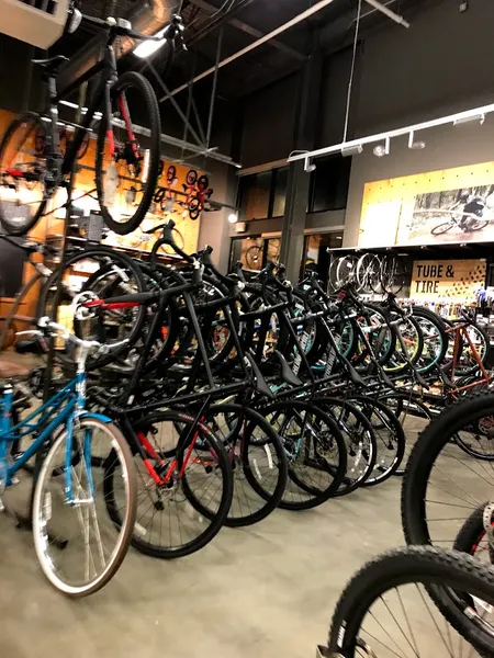 bike store REI