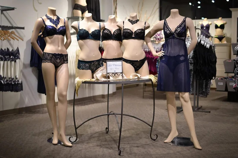 lingerie shops Petticoat Fair | Lingerie + Swim