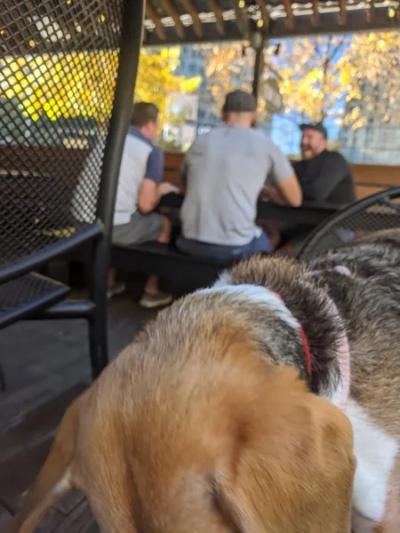 Dog-Friendly Restaurants Cedar Door Patio Bar & Grill