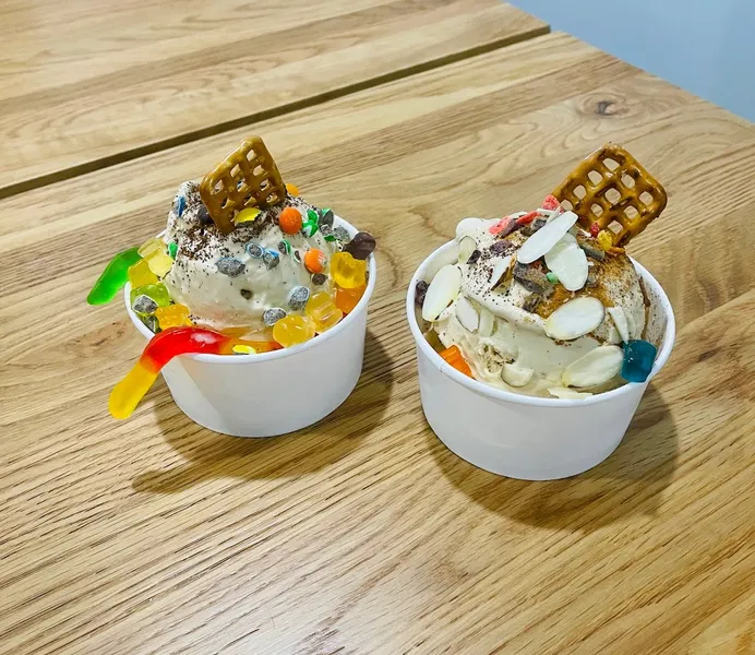 frozen yogurt Milkster Nitrogen Creamery Jacksonville