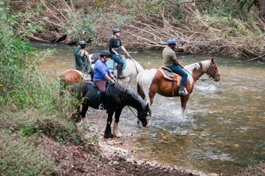 Top 10 Horseback Riding Lessons in Austin