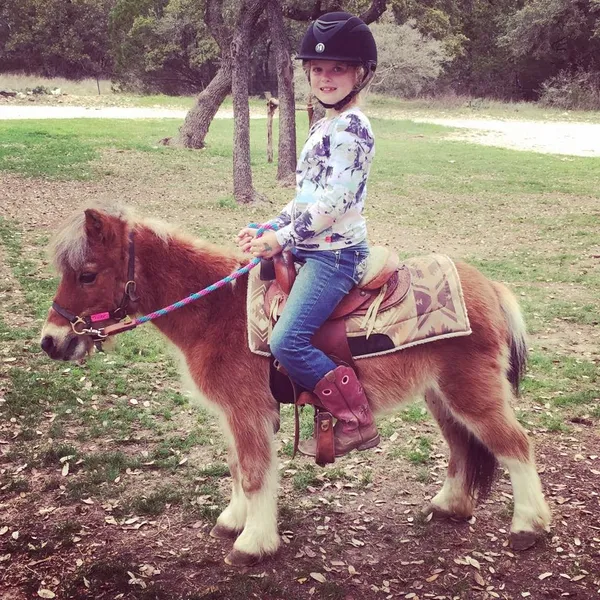 Horseback Riding Lessons Texas Trail Rides