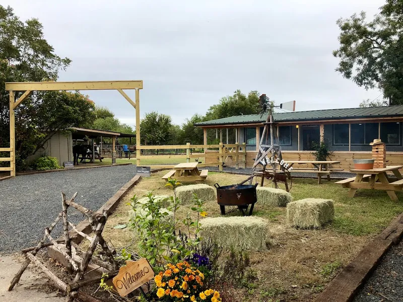 Horseback Riding Lessons Lone Star Ranch