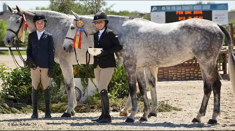 Horseback Riding Lessons Switch Willo Stables