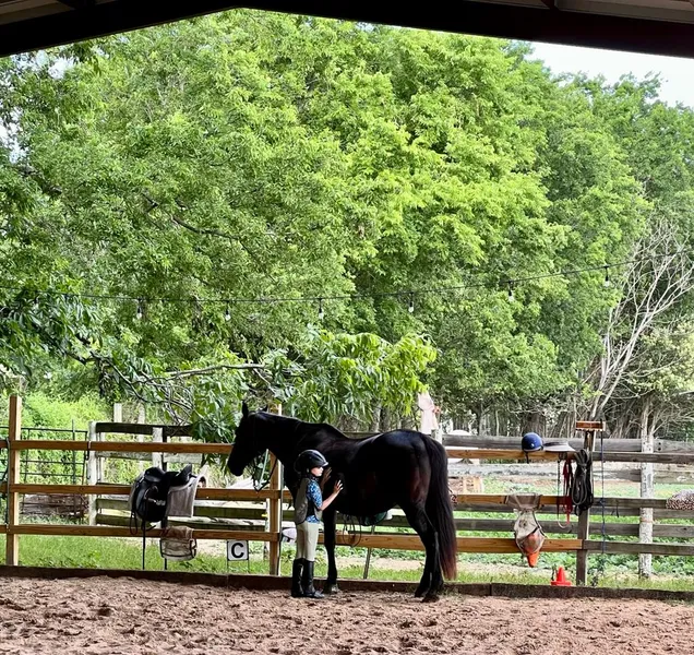 Horseback Riding Lessons Austin Riding and Therapy Center