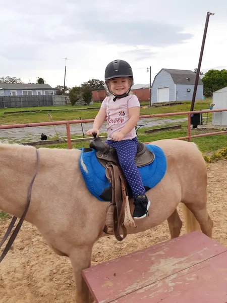 Horseback Riding Lessons Adventures in Riding with Miss Julie