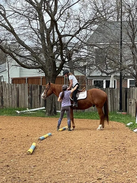 Horseback Riding Lessons Full Circle Riding Academy