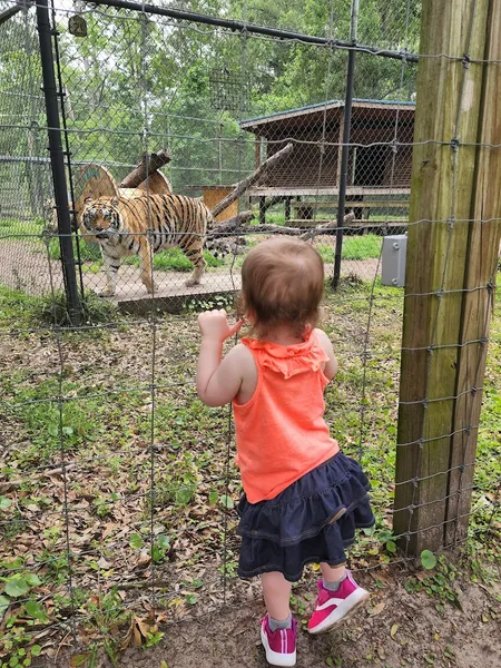 Things to do with kids The Catty Shack Ranch Wildlife Sanctuary