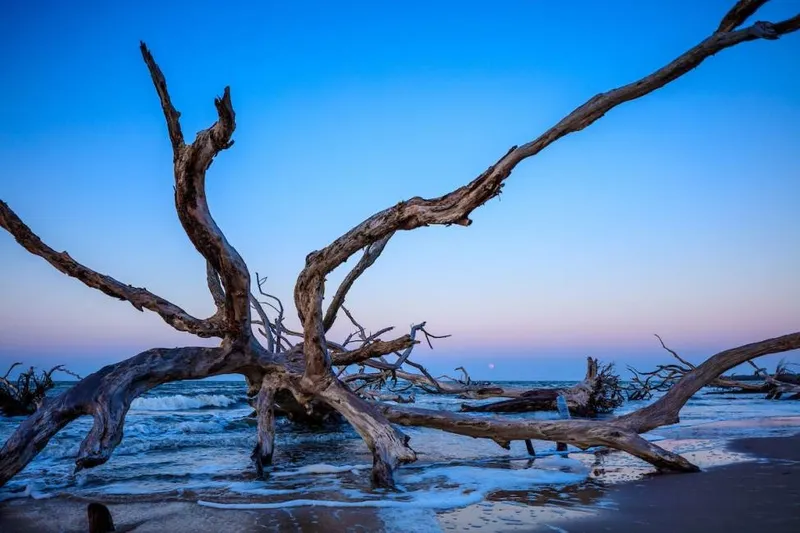 Hiking Trails Big Talbot Island State Park