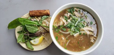 Top 10 soups in Tampa