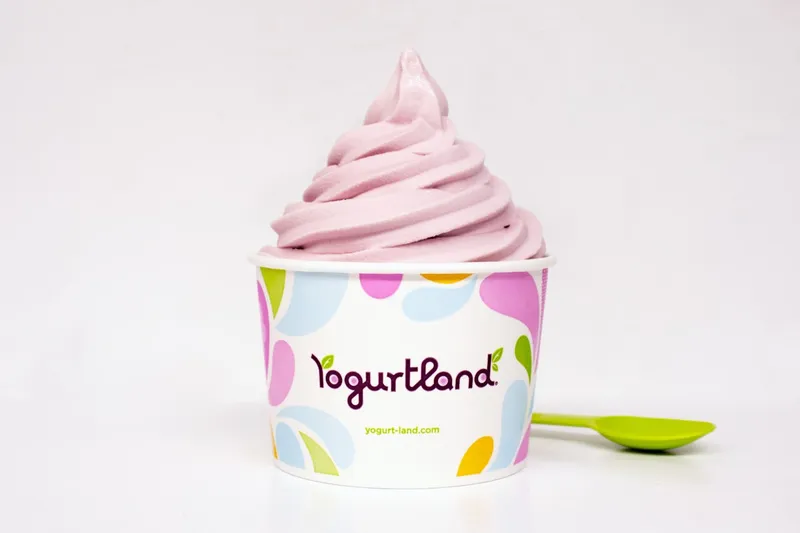 frozen yogurt Yogurtland Chandler