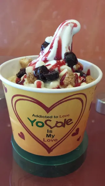 frozen yogurt Yolove Frozen Yogurt