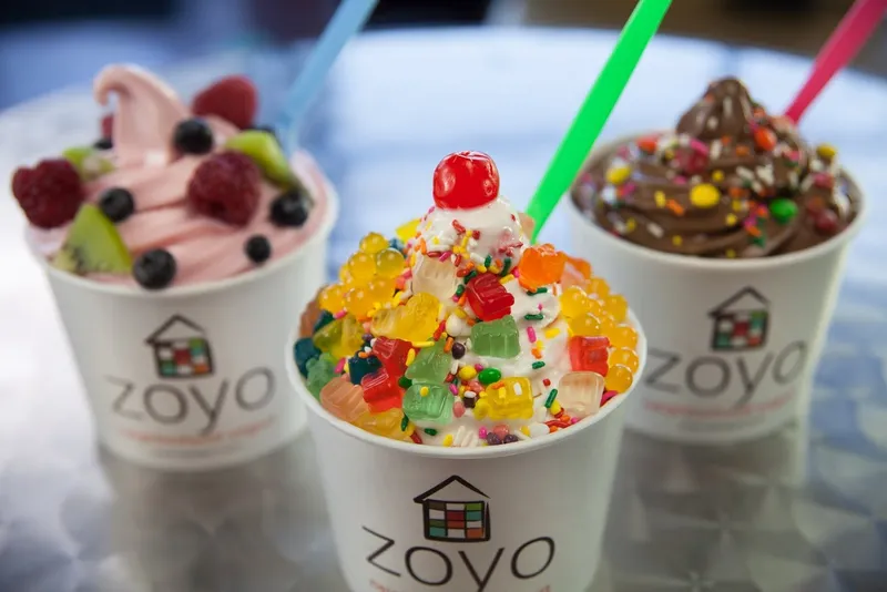 frozen yogurt Zoyo Neighborhood Yogurt