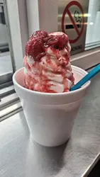 Top 12 frozen yogurt in Tampa