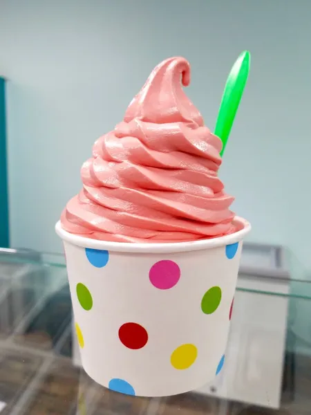 frozen yogurt D'Lites Emporium