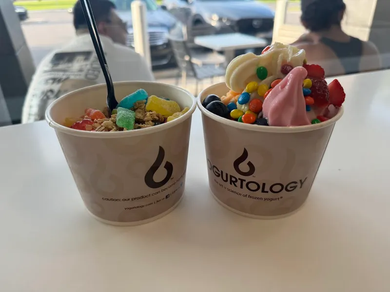 frozen yogurt Yogurtology