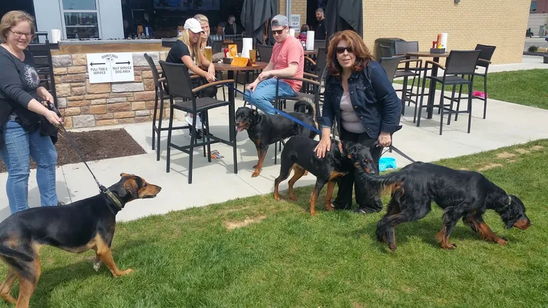 Dog-Friendly Restaurants Blue Sushi Sake Grill