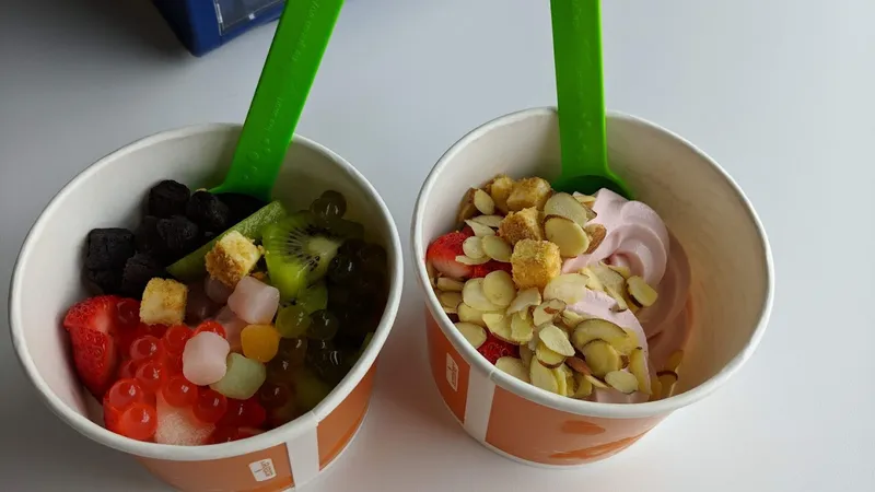 frozen yogurt Yogurt Lounge