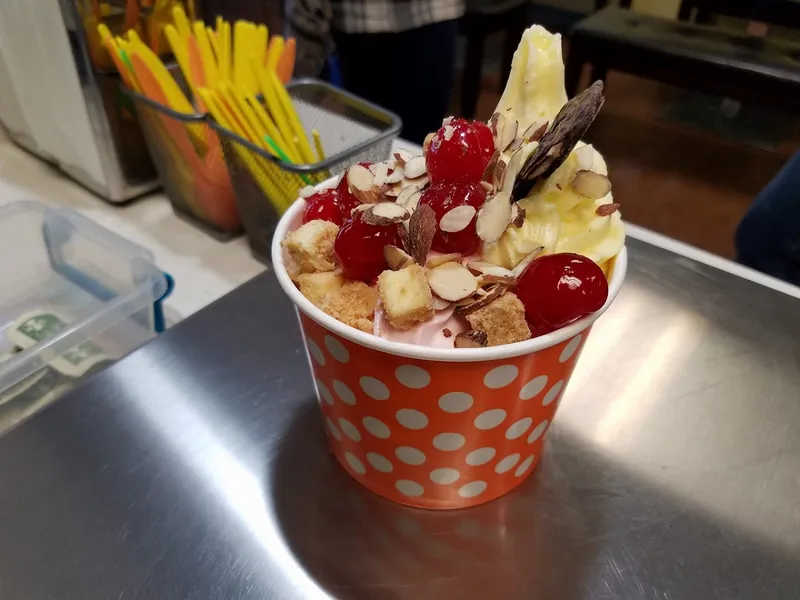 frozen yogurt YogurtWorks